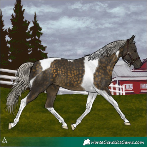 Horse Color:Silver Buckskin Tobiano 