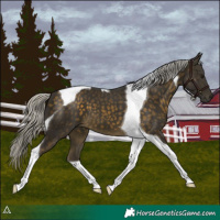 Horse Color:Silver Buckskin Tobiano 