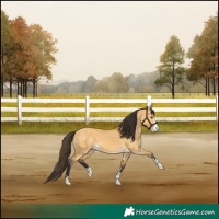 Horse Color:Buckskin Dun 