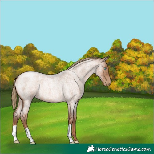Horse Color:Liver Red Roan Pearl 