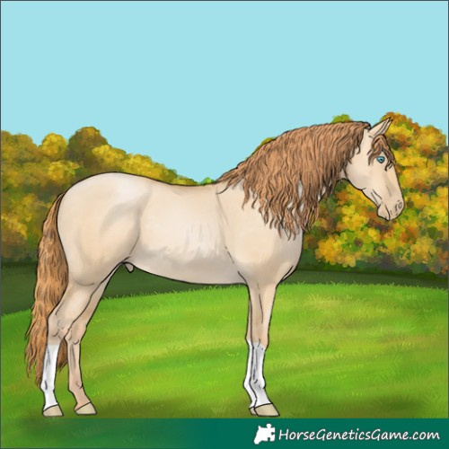 Horse Color:Smoky Grullo Pearl 