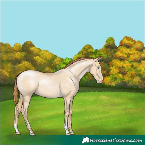 Horse Color:Smoky Grullo Pearl 
