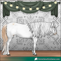 Horse Color:Red Dun Appaloosa 