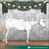 Horse Color:Red Dun Appaloosa 