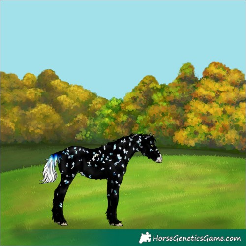 Horse Color:Silver Classic Champagne Ice Dun Sabino Rabicano