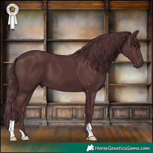 Horse Color:Chocolate Black 