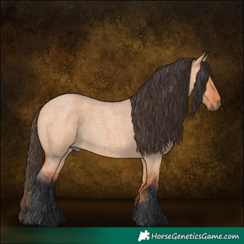 Horse Color:Bay Roan Dun 