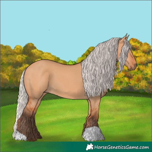 Horse Color:Silver Bay Dun 