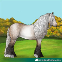 Horse Color:Gray Silver Bay Dun 