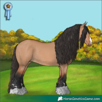 Horse Color:Bay Dun Rabicano