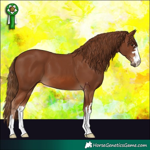 Horse Color:Chestnut 