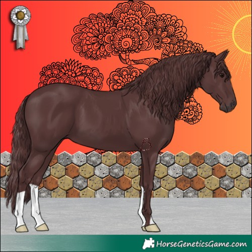 Horse Color:Chocolate Black 