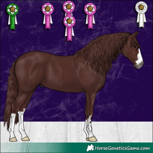 Horse Color:Gray Chocolate Black