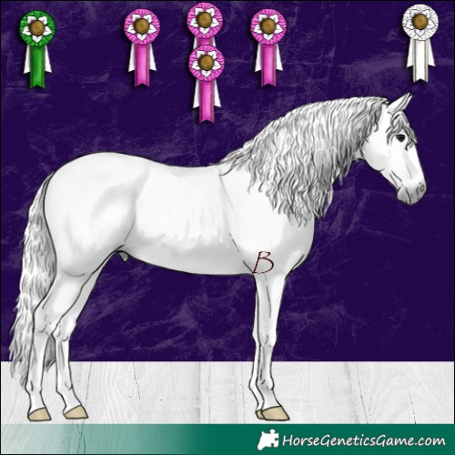 Horse Color:Gray Chocolate Black 