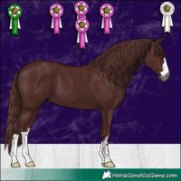 Horse Color:Gray Chocolate Black 