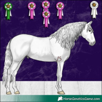 Horse Color:Gray Chocolate Black 