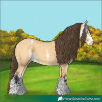Horse Color:Buckskin Dun Sabino