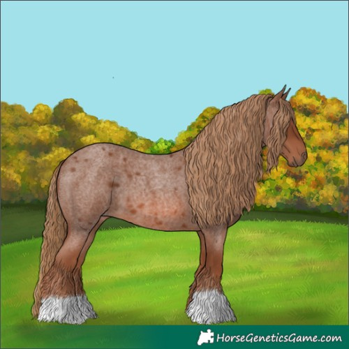 Horse Color:Red Roan 