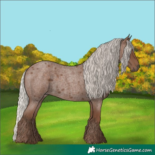 Horse Color:Silver Blue Roan 