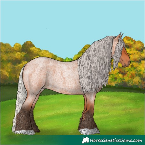 Horse Color:Silver Bay Roan 