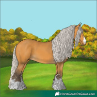 Horse Color:Silver Buckskin 