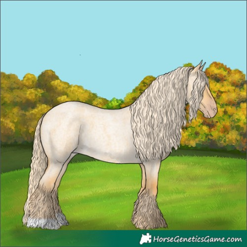 Horse Color:Gold Cream Champagne Roan Dun 
