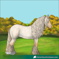 Horse Color:Gold Cream Champagne Roan Dun