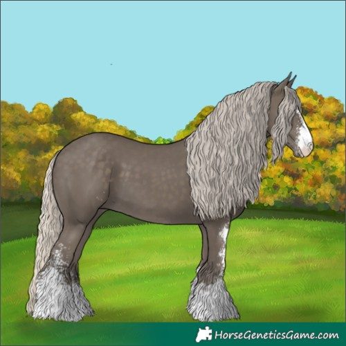 Horse Color:Silver Smoky Black Sabino 