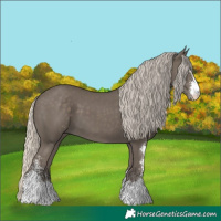 Horse Color:Silver Smoky Black Sabino