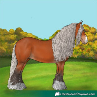 Horse Color:Silver Bay 