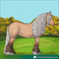 Horse Color:Silver Bay Dun