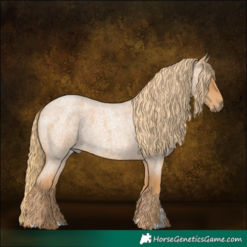 Horse Color:Red Roan 