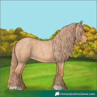 Horse Color:Red Roan 