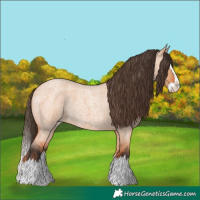 Horse Color:Bay Roan Dun Splash 