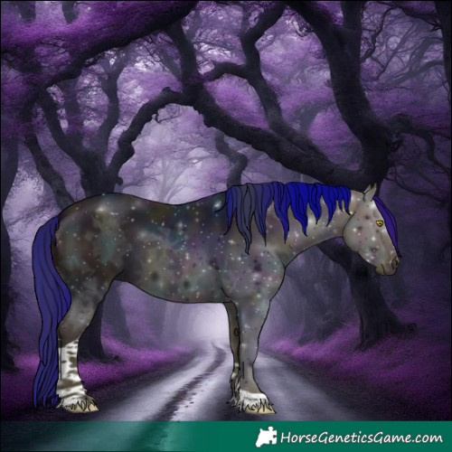 Horse Color:Midnight Amber Champagne Ice Tobiano 