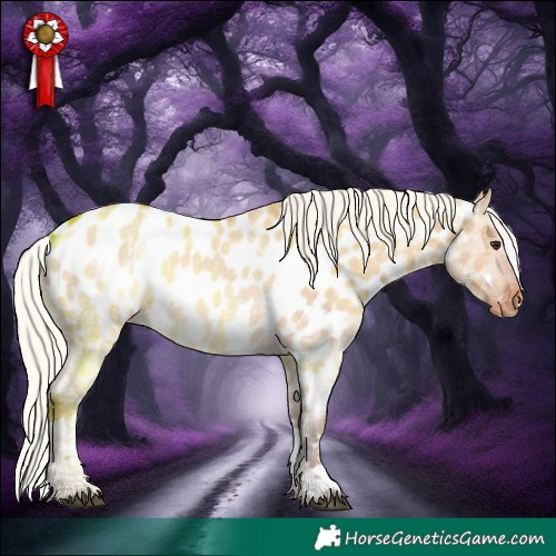 Horse Color:White Spotted Silver Bay Dun Tobiano Appaloosa 