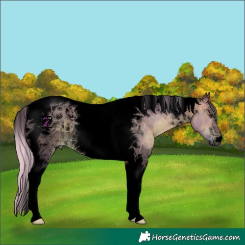 Horse Color:Void Watercolor Silver Brown Dun Tobiano 