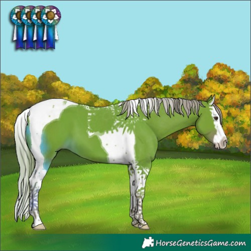 Horse Color:Watercolor Liver Chestnut Splash Tobiano 
