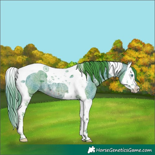 Horse Color:Watercolor Brown Roan Splash Tobiano 