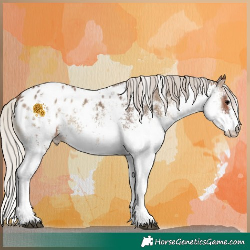 Horse Color:White Spotted Silver Blue Onyx Appaloosa 