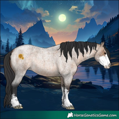 Horse Color:Brown Roan Dun Sabino 
