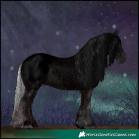Horse Color:Void Chocolate Silver Smoky Blue Chinchilla Roan Appaloosa Rabicano 