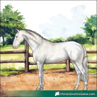 Horse Color:Chocolate Palomino Pearl Dun Sabino Snowcap Rabicano  and Palomino Pearl Dun Sabino Snowcap Rabicano 