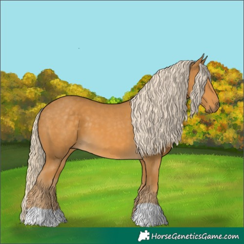 Horse Color:Palomino 