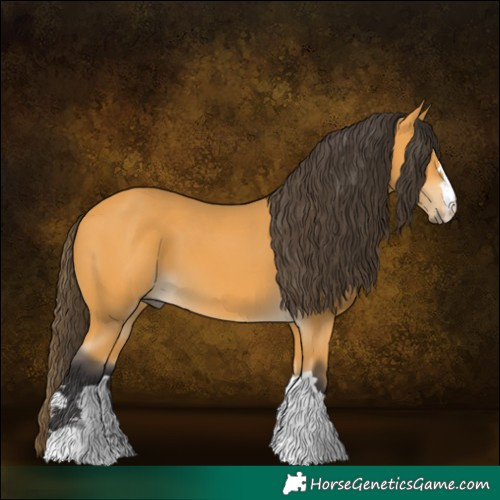 Horse Color:Buckskin 