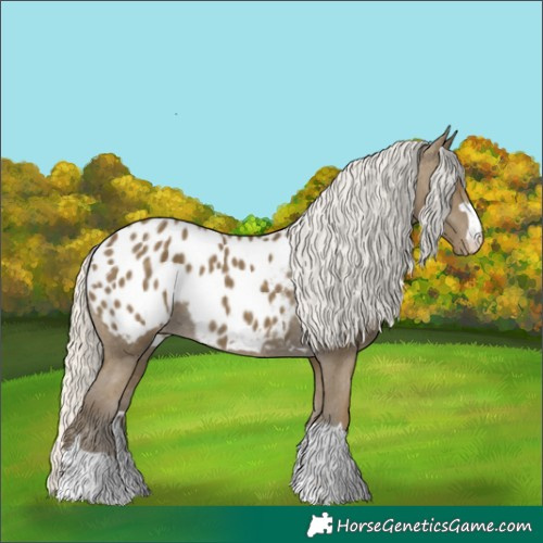 Horse Color:Silver Smoky Black Appaloosa 