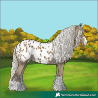 Horse Color:Silver Smoky Black Blanket 