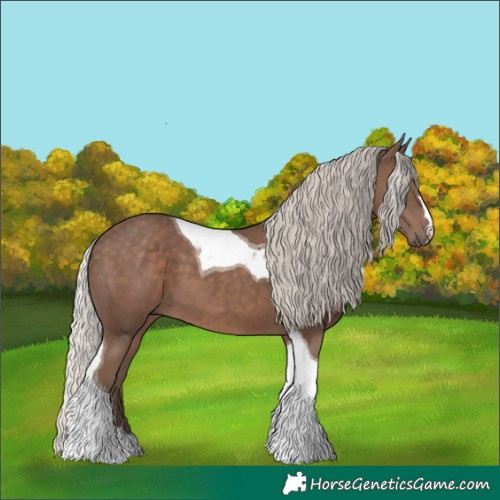 Horse Color:Silver Black Tobiano 