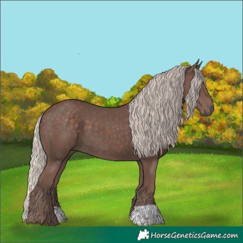 Horse Color:Silver Black 