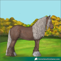 Horse Color:Silver Black 